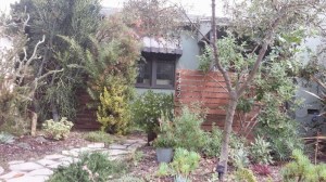 Photo from http://tinyurl.com/mkouunp