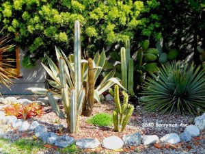 Photo from http://tinyurl.com/lnv39f8