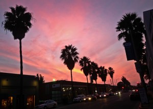 10548220754_0c2bba6f5e_z